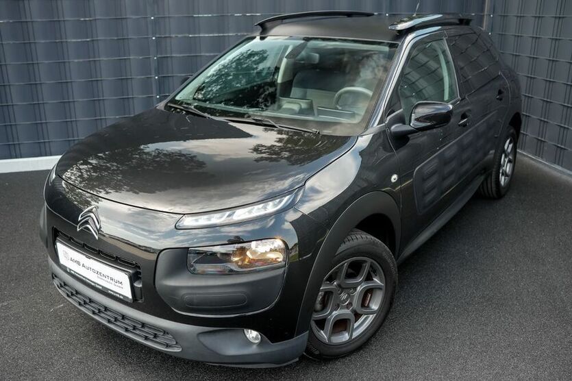 C4 Cactus