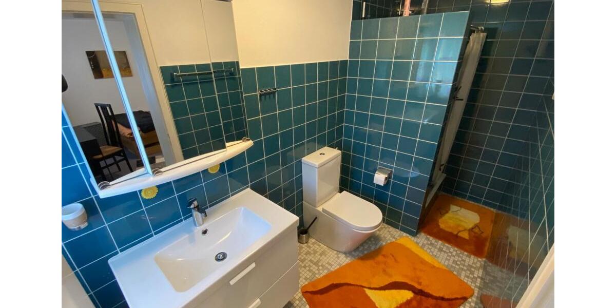 30m² möbliertes, 1 Zi. Apartment mit großem Bad, Feb.-Mai 26 frei 1 zimmer