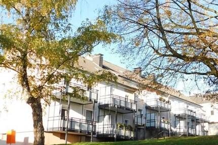 Gemütliche 2-Zi.-Whg. mit sonnigem Balkon- ab 02.01.2026 frei 2 zimmer