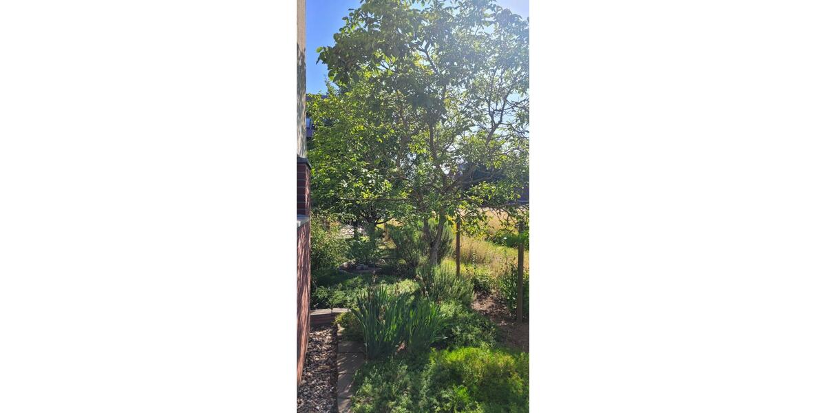 Doppelhaushälfte Bergisch Gladbach Gronau - 7 Zimmer, 140 m&sup2;, 620.000&euro; | Angebot:25649358