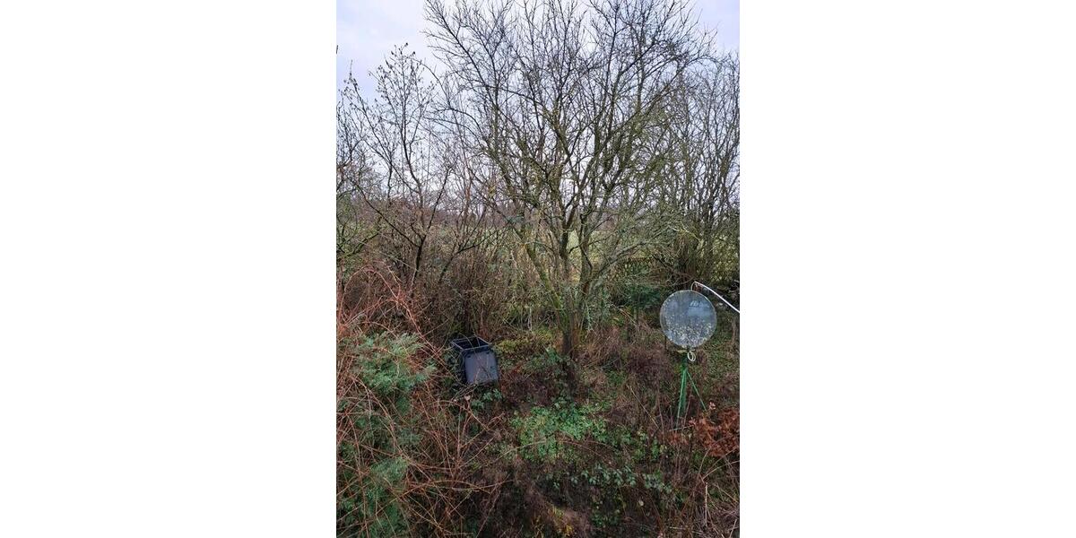 Einfamilienhaus mit Einliegerwohnung zimmer