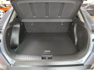 Hyundai Kona Prime 2WD AHK Bose SHZ LHZ Navi Kam 12.578 km 26.880 &euro; HAAN 42781