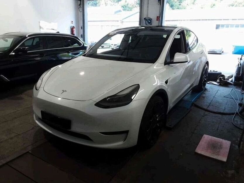 Model Y