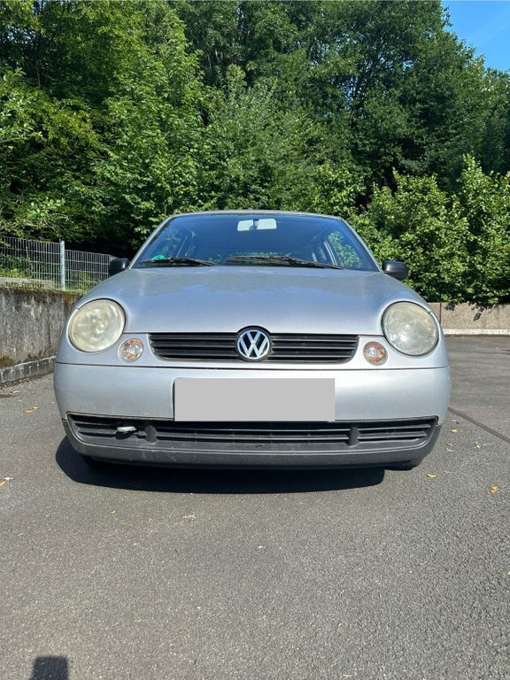 Lupo