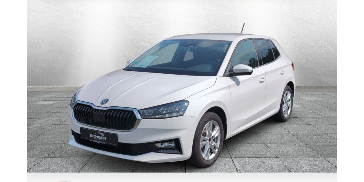 Skoda Fabia 17.300 km 20.990 &euro; Wipperfürth 51688
