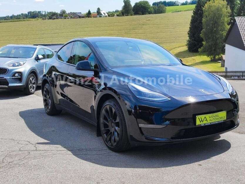 Model Y