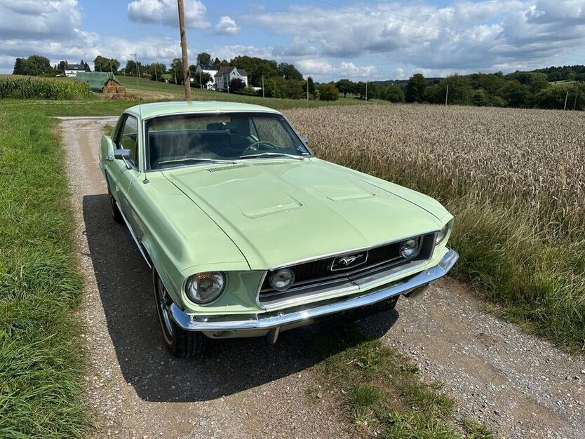 Mustang