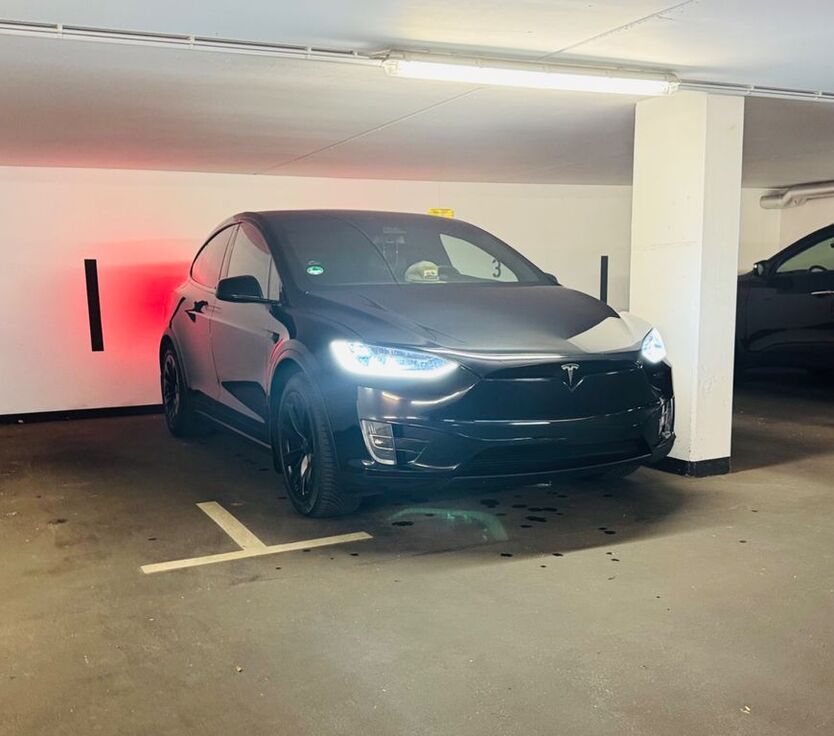 Model X