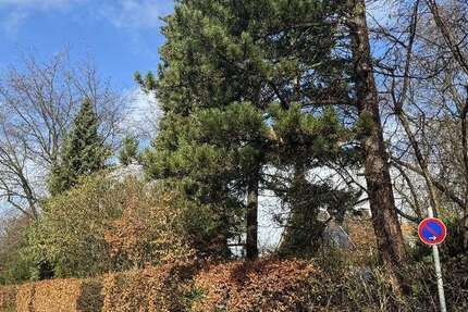 Grundstück zu verkaufen in Mettmann-Mettmann - Metzkausen 890.000 € 558 m² zimmer