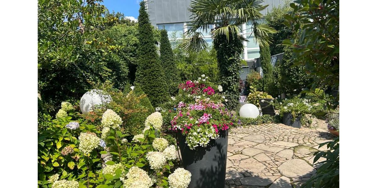 Dachgeschoßwohnung Bochum Bochum-Südwest - 4 Zimmer, 80 m&sup2;, 660&euro; | Angebot:25083103