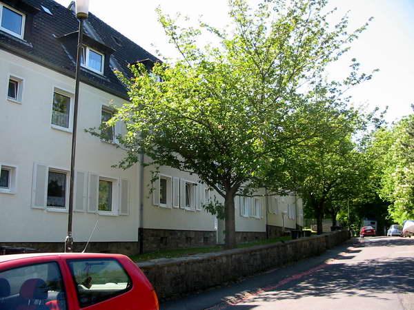 Demnächst frei! 2-Zimmer-Wohnung in Hagen Eilpe 2 zimmer