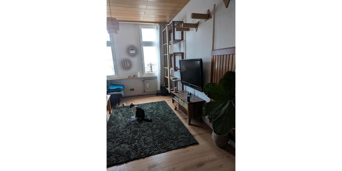 Gemütliche, helle Wohnung zur Untermiete Mai- Oktober 1 zimmer