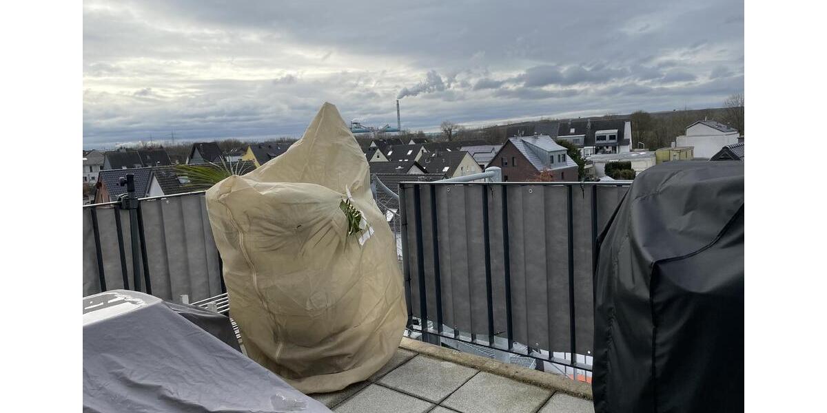 Etagenwohnung Leverkusen Bürrig - 2 Zimmer, 72 m&sup2;, 990&euro; | Angebot:25750083