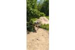 Charmanter Hof mit Boxen, Laufstall und Paddocktrail