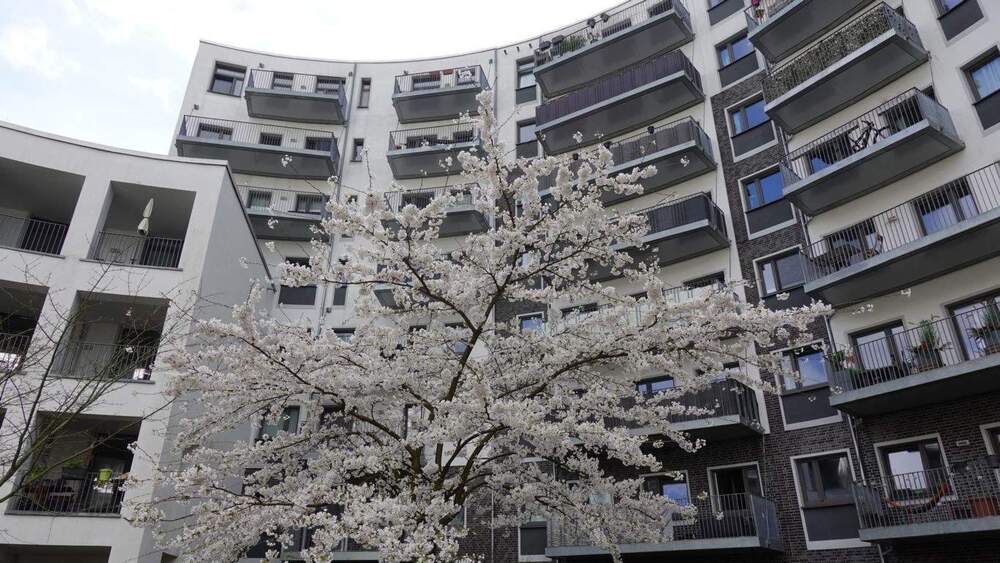 Etagenwohnung Düsseldorf Flingern Nord - 3 Zimmer, 85 m&sup2;, 1.410&euro; | Angebot:25778928