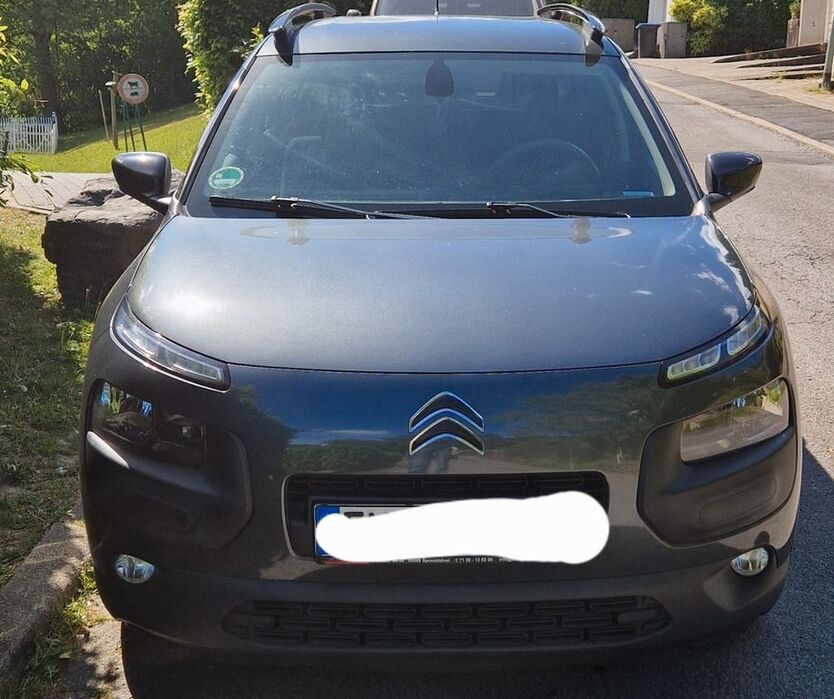 C4 Cactus