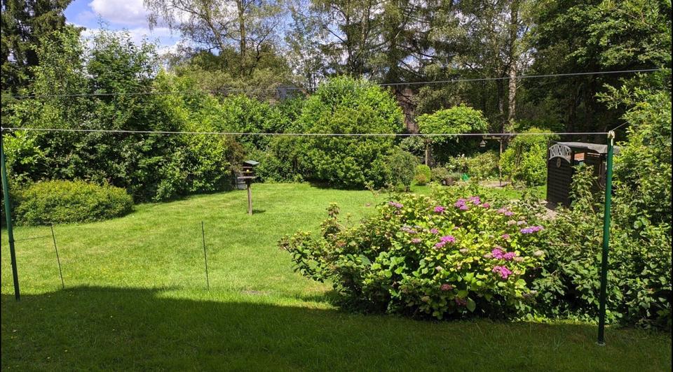 Schön geschnittene & frisch sanierte DG-Wohnung mit Gartennutzung 2 zimmer