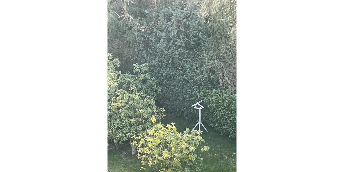 Etagenwohnung Hagen Hagen-Nord - 2 Zimmer, 75 m&sup2;, 450&euro; | Angebot:25438672