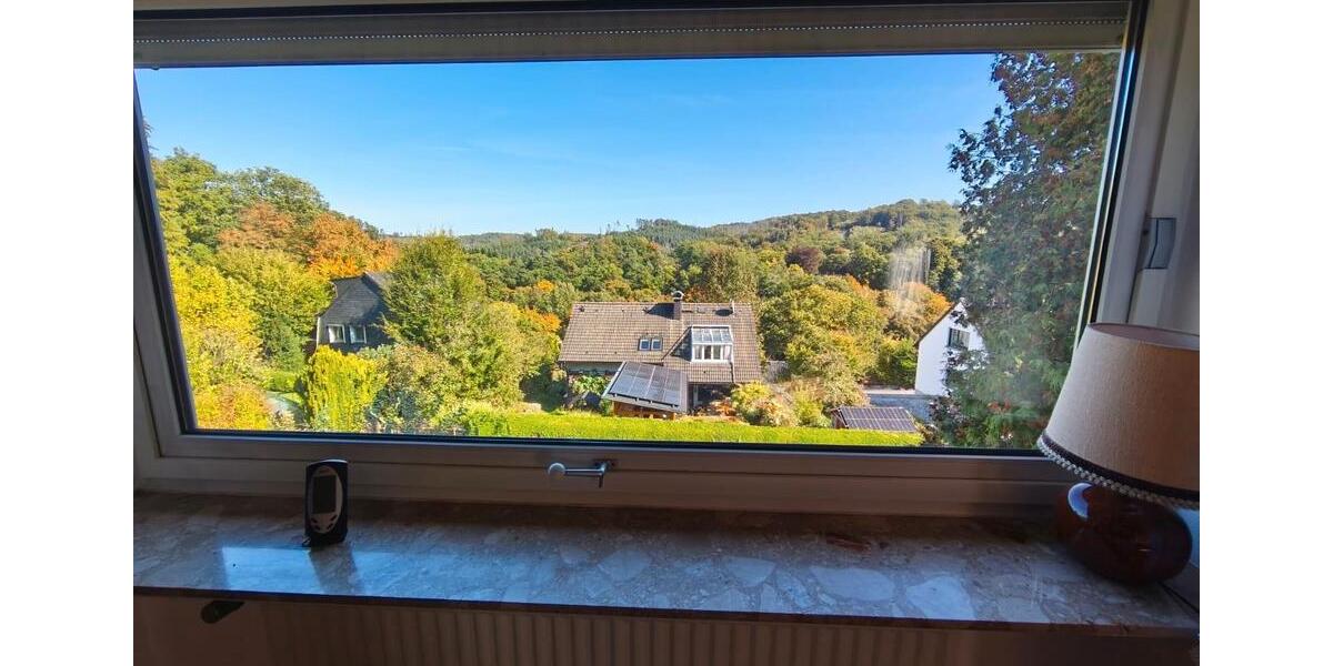 Provisionsfrei - großzügiges Einfamilienhaus mit Einliegerwohnung 8 zimmer