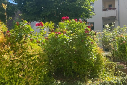 Wohnung Hagen Hagen-Nord - 4.5 Zimmer, 121 m&sup2;, 250.000&euro; | Angebot:26913261