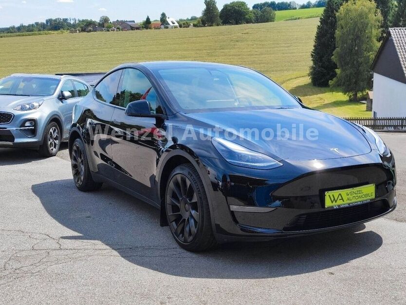 Model Y