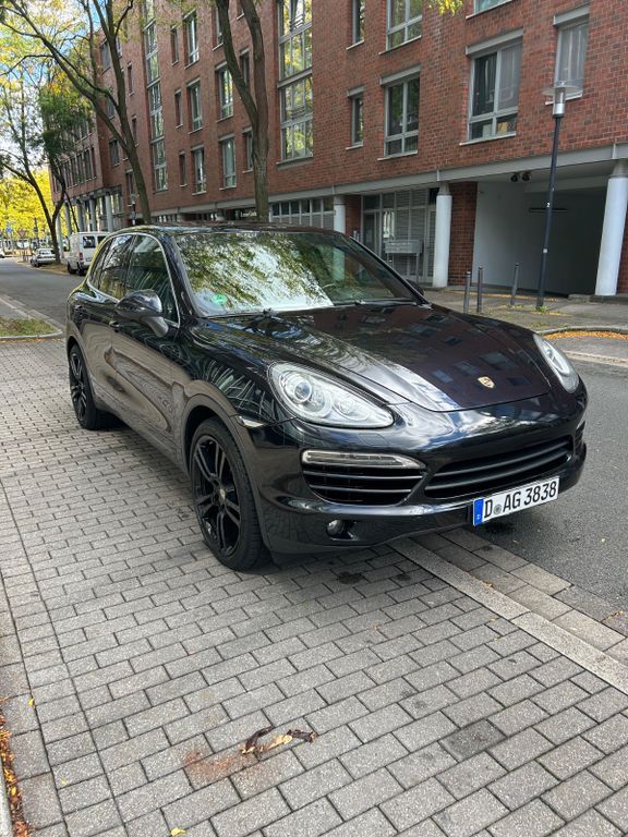 Cayenne