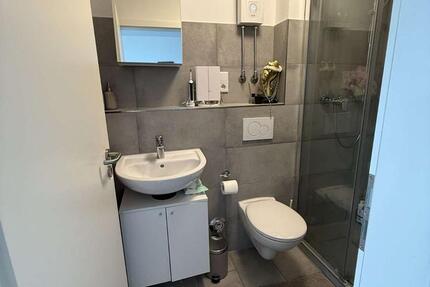 1 Zimmer Appart. WE 37, hell, möbliert, ab 01.02.2026 Lev. zimmer