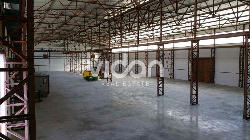 Exklusiv | Kaltlager | Hohe Bodentraglast | 8,45 m UKB zimmer