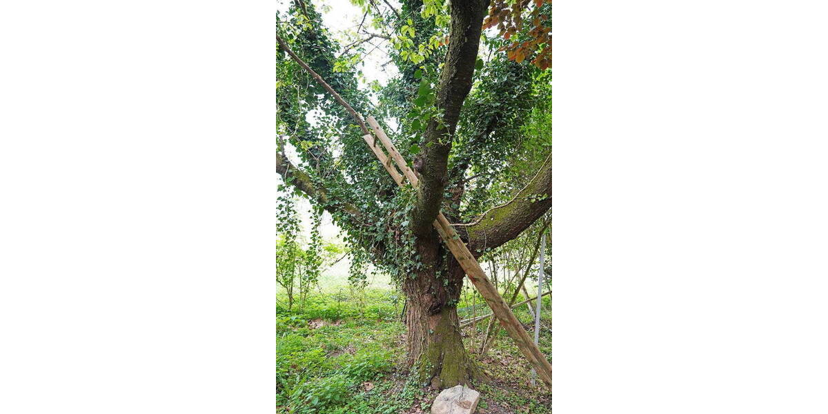 Mehrfamilienhaus, Wohnhaus Bergisch Gladbach Asselborn - 5 Zimmer, 170 m&sup2;, 550.000&euro; | Angebot:26196790