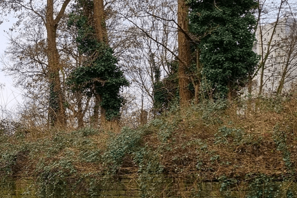 Grundstück Erkrath - 380.000&euro; | Angebot:20269869