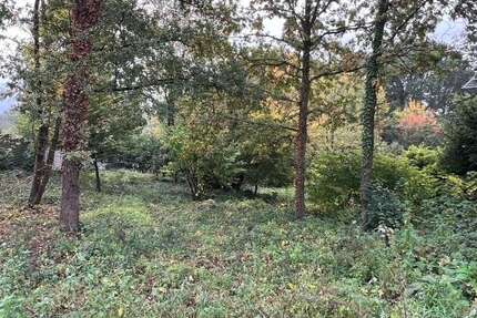 Grundstück zu verkaufen in Hagen 250.000 € 1204 m² zimmer