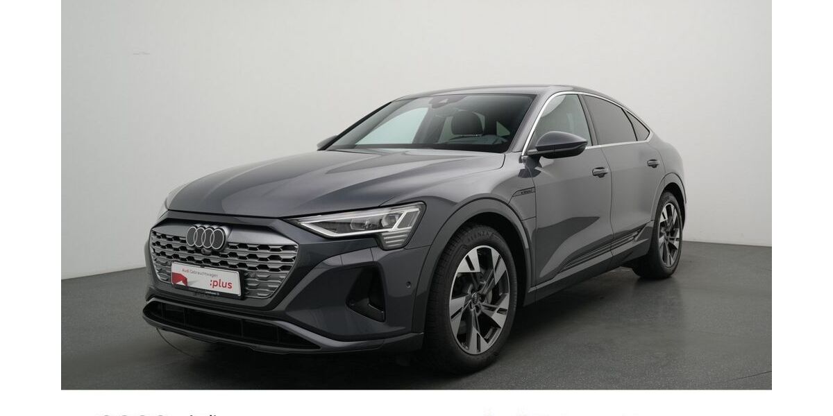 Audi Q8 3.555 km 60.480 &euro; Leverkusen 51373