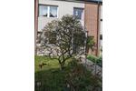 Reihenhaus Solingen - 4 Zimmer, 120 m&sup2;, 370.000&euro; | Angebot:26537681
