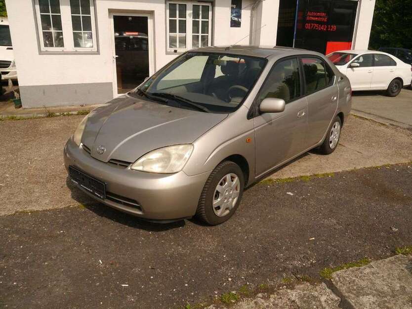 Auris