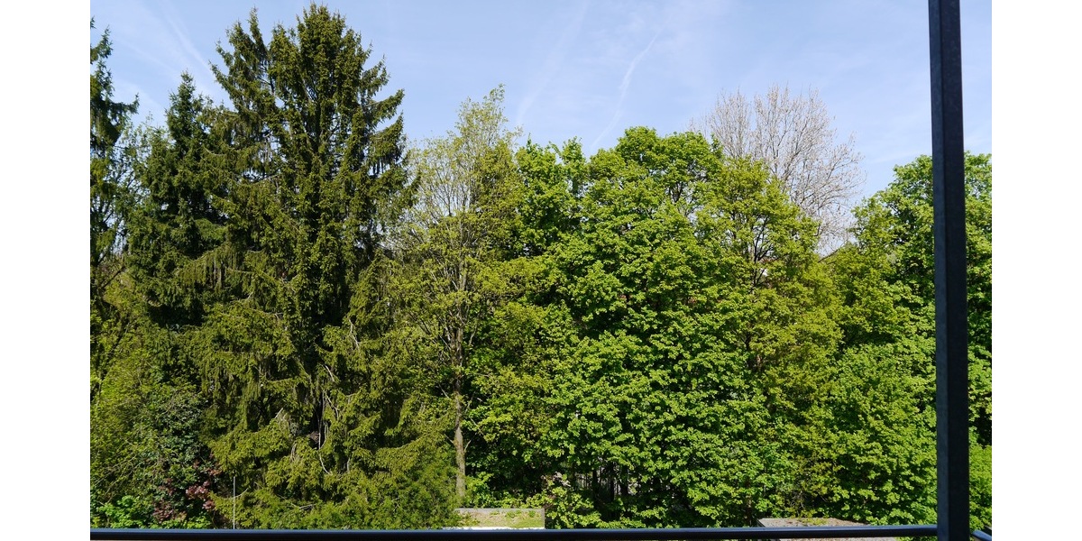SG, komfortable 85m² 2 Zi. Loftwohnung in Zentrumsnähe, Balkon, Stellplatz, Einbauküche - Loft - Studio - Atelier Solingen Mitte | Angebot:26457871