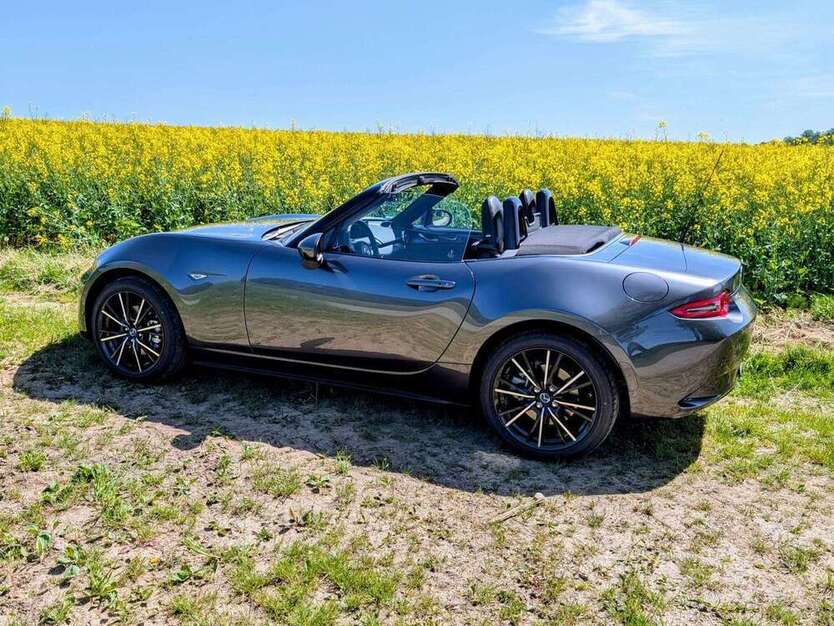 MX-5