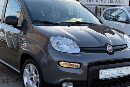 Fiat Panda 30.000 km 10.990 &euro; Dormagen 41539