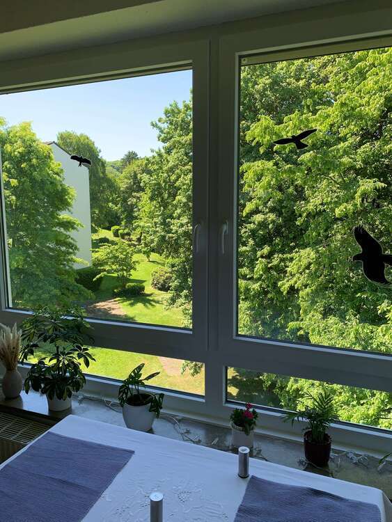 Wohnung zum Kaufen in Aachen 232.500 € 66 m²