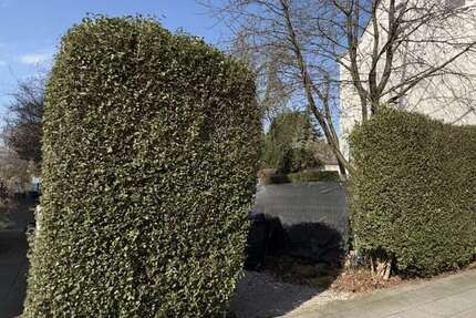 Grundstück Solingen Burg - 98.000&euro; | Angebot:25380911