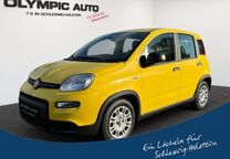 Gebrauchtwagen Fiat Panda