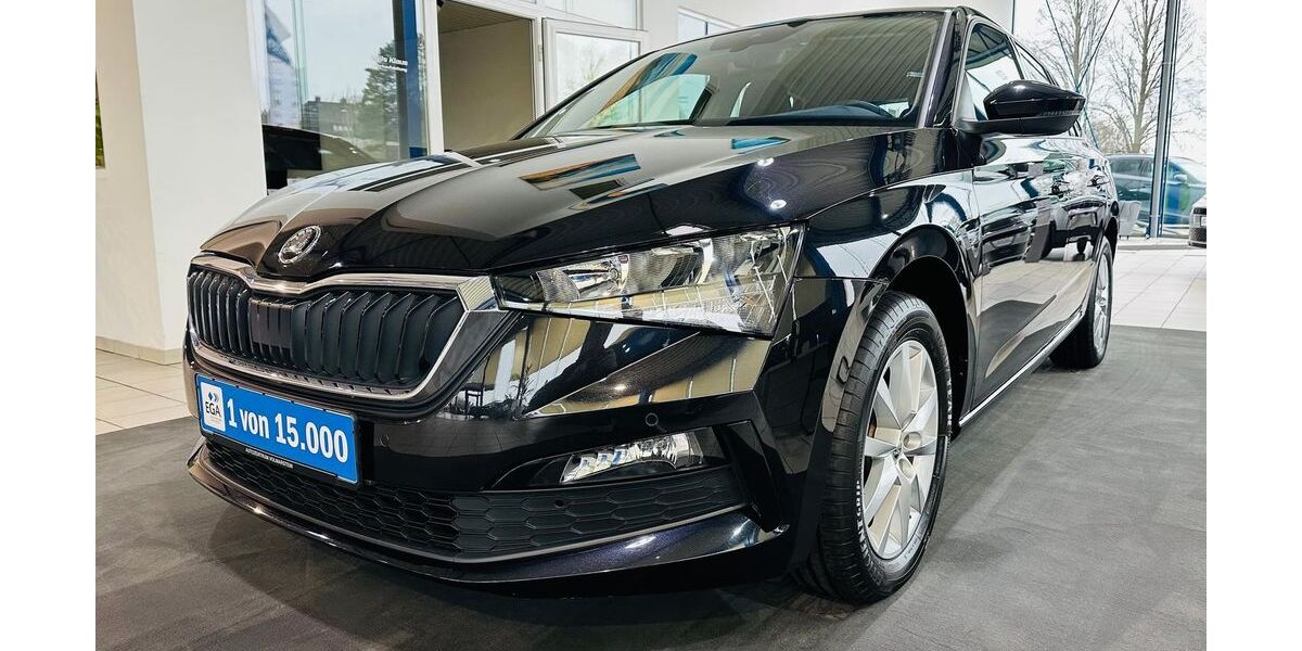 Skoda Scala 32.555 km 18.530 &euro; Wetter 58300