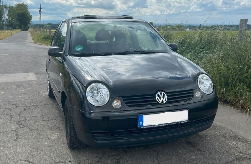 Lupo