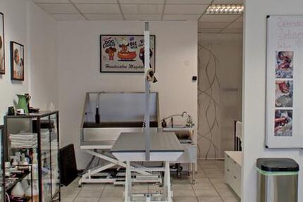 Ladenlokal - zur Zeit als Hundesalon komplett eingerichtet zimmer