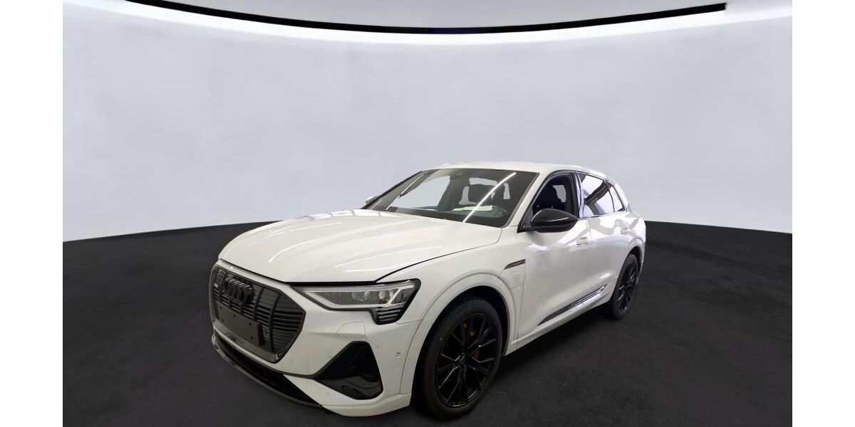 Audi e-tron 58.553 km 31.409 &euro; Hagen 58091