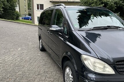 Mercedes Viano