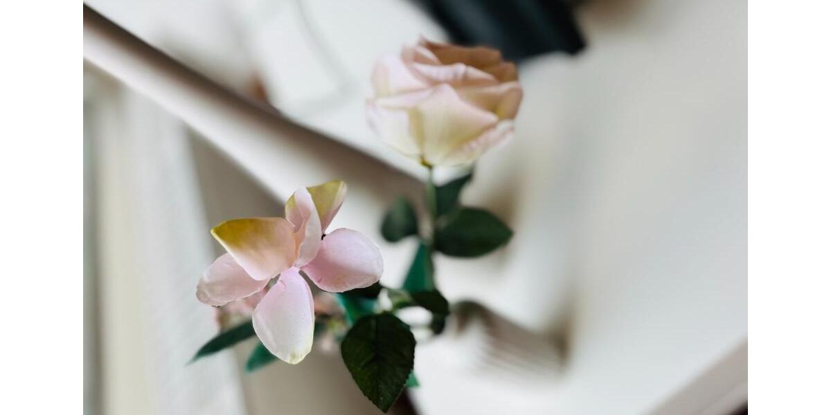 Apartment mit Terrasse, Pool & Tennisplatz bei Köln, möbliert 1 zimmer