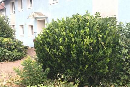 Demnächst frei! 3-Zimmer-Wohnung in Bochum Linden 3 zimmer