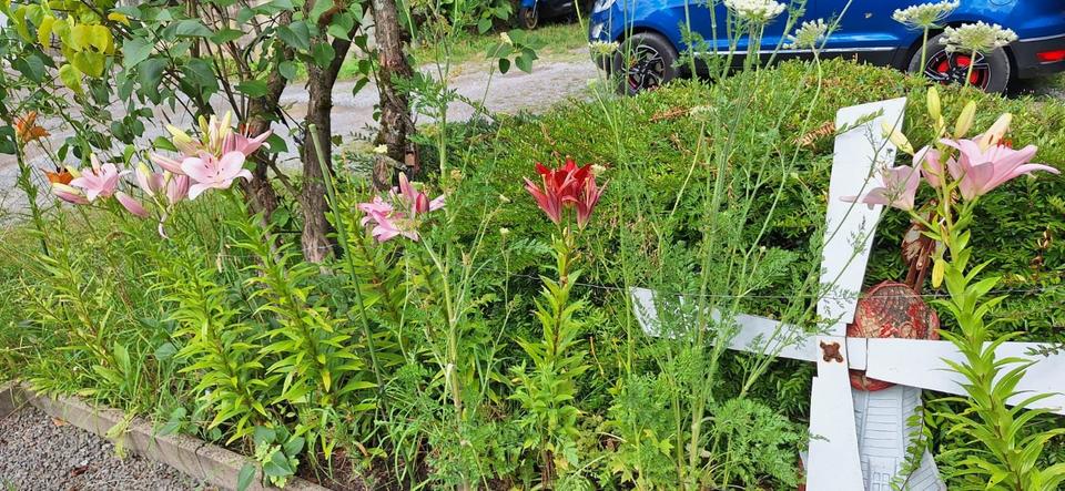 Etagenwohnung Hückeswagen - 2.5 Zimmer, 60 m&sup2;, 260&euro; | Angebot:25759228