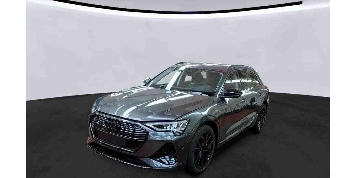 Audi e-tron 46.568 km 35.750 &euro; Hagen 58091