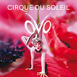 Suiten-Ticket - Cirque du Soleil - OVO